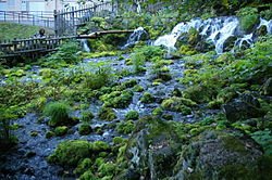 画像1: 札幌市内より小樽市内観光２時間して京極ふきだし公園観光して洞爺湖温泉へのタクシー手配