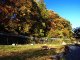 ウトロ温泉より網走観光や北きつね牧場観光後層雲峡温泉へのタクシー手配