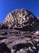 釧路空港から鶴公園や花咲灯台や納沙布岬を観光して根室市ヘのタクシー手配