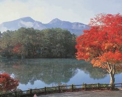 画像1: 米沢市内から上杉神社や五色沼や野口英世記念館など観光して会津若松市内へのタクシー手配