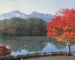 画像1: 会津若松市内から猪苗代湖や五色沼や桧原湖など観光して米沢市内へのタクシー手配