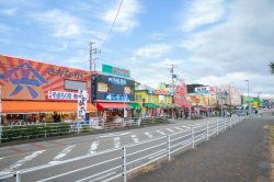 画像1: 新潟市内から弥彦神社や弥彦山頂や西生寺などを観光して寺泊アメ横により弥彦岩室温泉へのタクシー手配