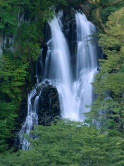 画像1: 日光市内から霧降の滝や六方沢橋や大笹牧場や川治ダムや五十里湖など観光して鬼怒川温泉へのタクシー手配