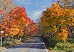 画像1: 鬼怒川温泉から龍王峡や日塩もみじラインや白滝や逆杉や木の葉化石園など観光して塩原温泉へのタクシー手配