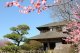 水戸市内から弘道館や偕楽園好文亭常盤神社や徳川美術館や笠間佐白山や稲荷神社や笠間焼窯元や袋田の滝などを観光して袋田温泉へのタクシー手配