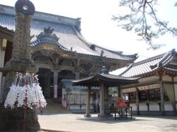 画像1: 館山市内から太海フラワーセンターや誕生寺を観光して勝浦へのタクシー手配