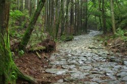 画像1: 小田原市内から本間寄木美術館や箱根ガラスの森やポーラ美術館や大湧谷や観光船や箱根関所跡や旧街道杉並木や旧街道石畳を見学して箱根湯本温泉へのタクシー手配