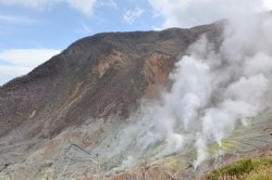 画像1: 箱根から大涌谷や箱根ガラスの森美術館や桃源台から遊覧船にのり箱根町や箱根関所跡や成川美術館や箱根神社を見学して三島駅へのタクシー手配