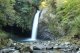 箱根から柿田川湧水群や修禅寺や浄蓮の滝や天城峠や河津七滝や見学して下田温泉へのタクシー手配