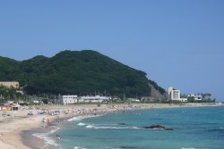 画像1: 伊東温泉から熱川バナナワニ園や城ケ崎海岸や万華鏡館や大室山を見学して伊東温泉へのタクシー手配