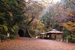 画像1: 三島市内から修禅寺や浄蓮の滝や天城峠や河津七滝を見学して下田温泉へのタクシー手配