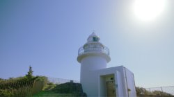 画像1: 下田温泉から下賀茂植物園や石廊崎や奥石廊崎や伊豆長八美術館や岩科学校を見学して堂ヶ島へのタクシー手配