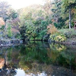 画像1: 箱根から忍野八海や富岳風穴や西湖いやしの里や河口湖ミューズ館やオルゴールの森を見学して河口湖へのタクシー手配