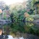 三島市内から忍野八海や河口湖ミューズ館やオルゴールの森を見学して石和温泉へのタクシー手配