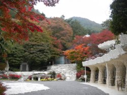 画像1: 河口湖からハーブ館やミューズ館や久保田一竹美術館や忍野八海を見学して石和温泉へのタクシー手配