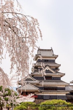 画像1: 松本市内から松本城や旧開智学校や歴史の里や浮世絵博物館や窪田空穂記念館や馬場家住宅を見学して松本市内ヘのタクシー手配