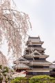 松本市内から松本城や旧開智学校や歴史の星や浮世絵博物館や窪田空穂記念館や馬場家住宅を見学して松本市内ヘのタクシー手配