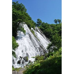 画像: 網走市よりオシンコシンの滝や知床五湖観光後川湯温泉へのタクシー手配