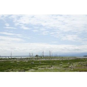 画像: ウトロ温泉よりトドワラや尾岱沼や納沙布岬観光後根室市へのタクシー手配