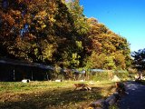 画像: ウトロ温泉より網走観光や北きつね牧場観光後層雲峡温泉へのタクシー手配