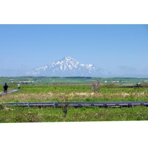 画像: 稚内駅から稚内公園やこうほねの家やサロベツ原生花園など観光して豊富温泉へのタクシー手配