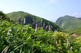 画像: 礼文島香深港から見内神社やスコトン岬と澄海岬や桃岩展望台や地蔵岩を観光して香深港へのタクシー手配