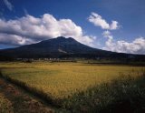 画像: 弘前市から市内観光や岩木山神社や岩木山観光して弘前市ヘのタクシー手配