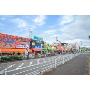 画像: 新潟市内から弥彦神社や弥彦山頂や西生寺などを観光して寺泊アメ横により弥彦岩室温泉へのタクシー手配