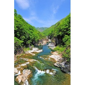 画像: 鬼怒川温泉から鬼怒川下りや龍王峡や日塩もみじラインを観光して塩原温泉へのタクシー手配