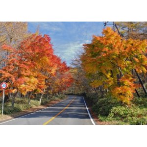 画像: 鬼怒川温泉から東照宮輪王寺二荒山神社や杉並公園や日塩もみじラインなど観光して塩原温泉へのタクシー手配