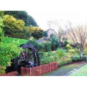 画像: 日光市内から東照宮輪王寺二荒山神社や杉並木公園や日光江戸村や五十里湖を観光して湯西川温泉へのタクシー手配