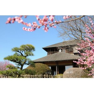 画像: 水戸市内から弘道館や偕楽園好文亭常盤神社や徳川美術館や笠間佐白山や稲荷神社や笠間焼窯元や袋田の滝などを観光して袋田温泉へのタクシー手配