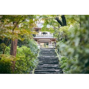 画像: 鎌倉市内から円覚寺や明月院や東慶寺や浄智寺を見学して横浜へのタクシー手配