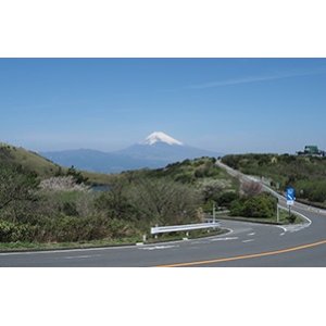 画像: 熱海温泉から伊豆スカイラインや大室山やシャボテン公園や城ケ崎海岸を見学して伊東温泉へのタクシー手配