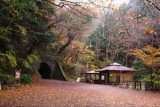 画像: 下田温泉から河津七滝や天城峠や浄蓮の滝や修禅寺や大室山や城ケ崎海岸や玉泉寺や了仙寺を見学して下田温泉へのタクシー手配