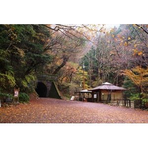 画像: 三島市内から修禅寺や浄蓮の滝や天城峠や河津七滝を見学して下田温泉へのタクシー手配