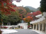 画像: 河口湖から風穴や氷穴やハーブ館やミューズ館や久保田一竹美術館を見学して石和温泉へのタクシー手配