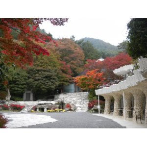 画像: 河口湖から風穴や氷穴やハーブ館やミューズ館や久保田一竹美術館を見学して石和温泉へのタクシー手配