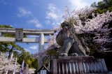 画像: 石和温泉から昇仙峡や信玄の墓や武田神社を見学して石和温泉へのタクシー手配