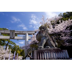 画像: 石和温泉から昇仙峡や信玄の墓や武田神社を見学して石和温泉へのタクシー手配