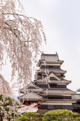 画像: 松本市内から松本城や旧開智学校や歴史の里を見学して白骨温泉ヘのタクシー手配