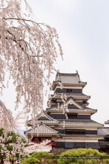 画像: 松本市内から松本城や旧開智学校や歴史の里や浮世絵博物館や窪田空穂記念館や馬場家住宅を見学して松本市内ヘのタクシー手配