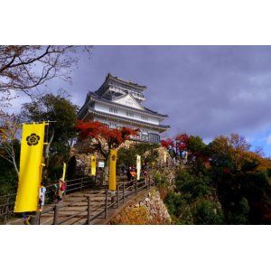 画像: 名古屋市内から熱田神社や名古屋テレビ塔や名古屋城や一の宮や岐阜県美術館や岐阜公園や金華山ロープウェイや岐阜城を見学して岐阜市内ヘのタクシー手配