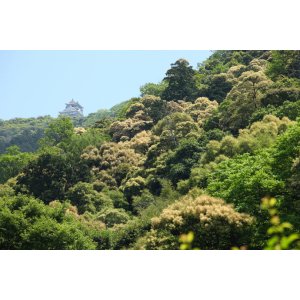 画像: 岐阜市内から岐阜公園や金華山を見学して岐阜市内ヘのタクシー手配