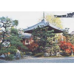 画像: 岐阜市内から道三塚や崇福寺や常在寺を見学して岐阜市内ヘのタクシー手配