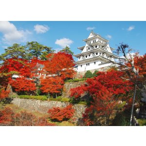 画像: 岐阜市内から関・刃物や大滝大鍾乳洞や奥美濃おもだか家民芸館や郡上八幡城を見学して郡上八幡市内ヘのタクシー手配