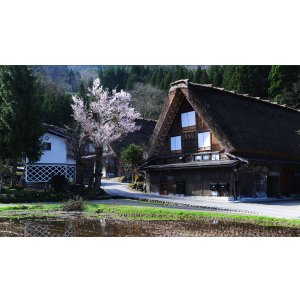 画像: 岐阜市内から白川郷や御母衣ダム（冬季を除く）を見学して高山市内ヘのタクシー手配