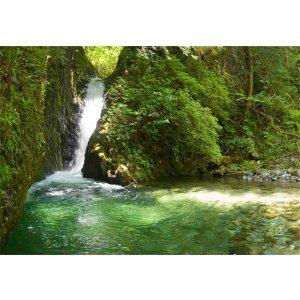 画像: 下呂温泉から巌立やあかがねとよの滝や巌立峡ひめしゃがの湯や下呂温泉合掌村を見学して下呂温泉ヘのタクシー手配