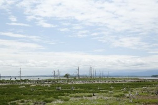 画像1: 阿寒湖温泉よりトドワラや尾岱沼や知床峠観光後網走市へのタクシー手配