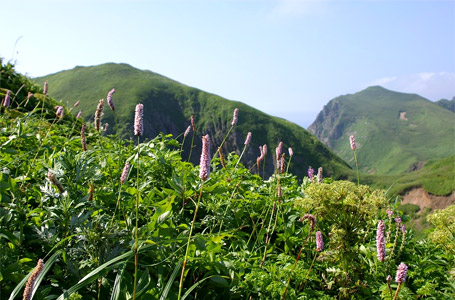 画像1: 礼文島香深港から見内神社やスコトン岬と澄海岬や桃岩展望台や地蔵岩を観光して香深港へのタクシー手配